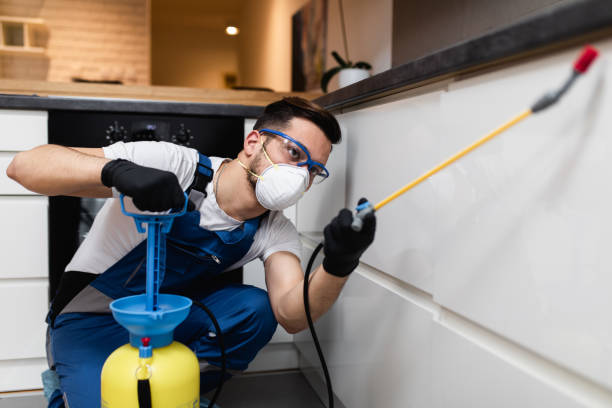 Best Pest Control Near Me  in Westlake Vlage, IL