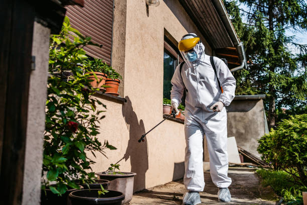 Best Mosquito Control Services  in Westlake Vlage, IL