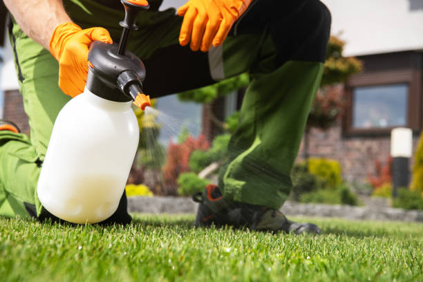 Best Best Pest Control Companies  in Westlake Vlage, IL
