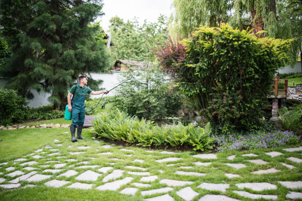 Best Ant Control Services  in Westlake Vlage, IL