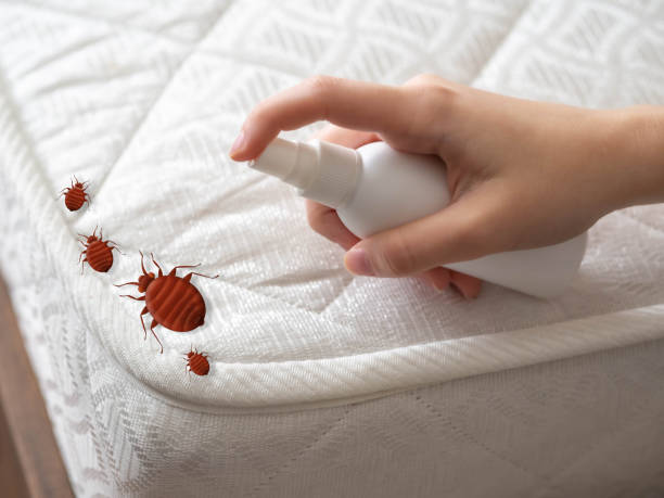 Westlake Village, IL Pest Control Company