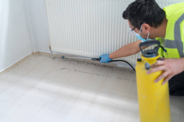 Best Ant Control Services  in Westlake Vlage, IL