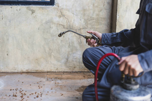 Best Termite Control Services  in Westlake Vlage, IL